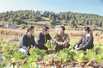 昆明乡村改革就业，探索与实践之路