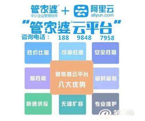 7777888888管家婆精准一肖中管家,战略性实施方案优化_薄荷版37.558