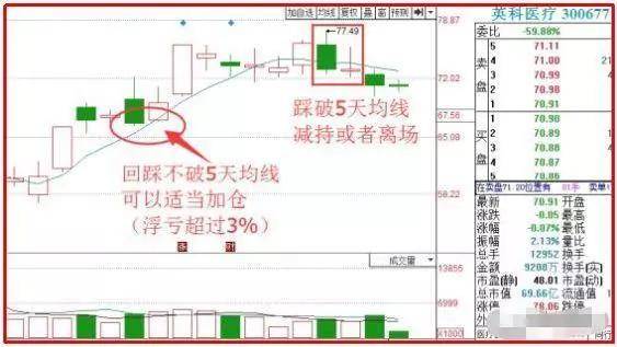 新澳门天天彩期期精准,快速设计问题计划_U15.290