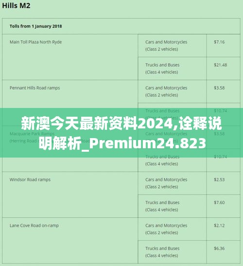 新澳2024年精准资料,持续计划解析_bundle37.384