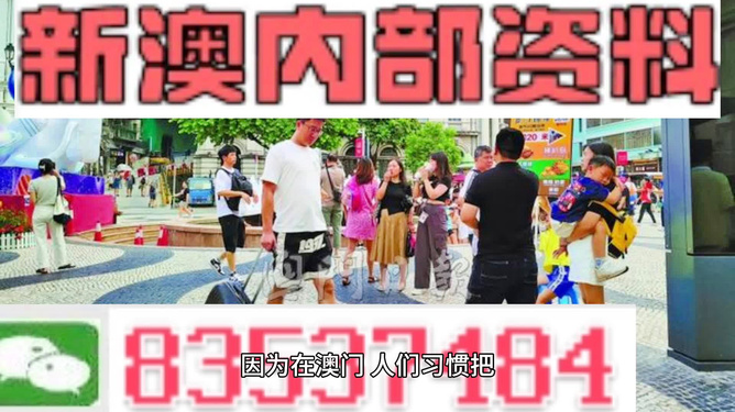 新澳2024年精准正版资料,动态解释词汇_专业版84.902