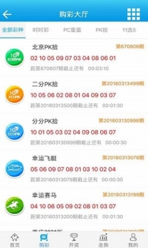 新澳门王中王100%期期中,持久性方案解析_QHD93.46