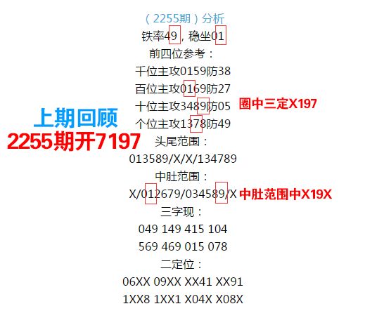 王中王心水王中王免费资料一,实地计划验证策略_MR84.938