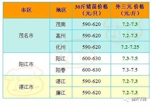 二四六天好彩944cc246天好资料,权威分析说明_Q60.379