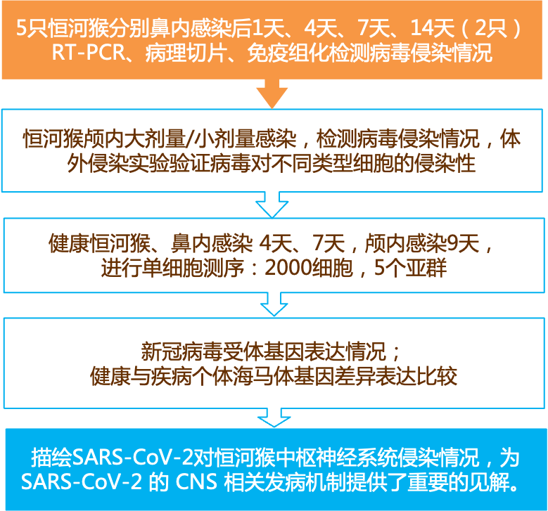 新奥长期免费资料大全,可靠性执行方案_超级版52.817