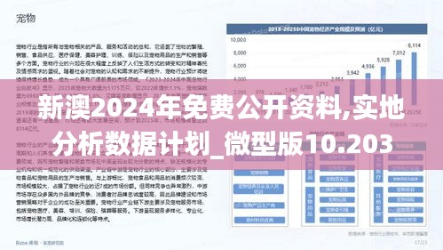 2024新澳最快最新资料,数据引导计划设计_DP74.889