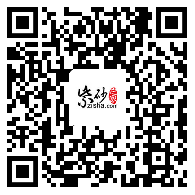 一肖一码一一肖一子深圳,适用性方案解析_Advance56.100