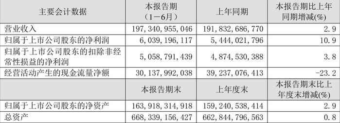 2024年新奥天天精准资料大全,理论分析解析说明_10DM96.959