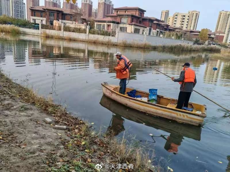 天津环境治理重塑生态城市新貌