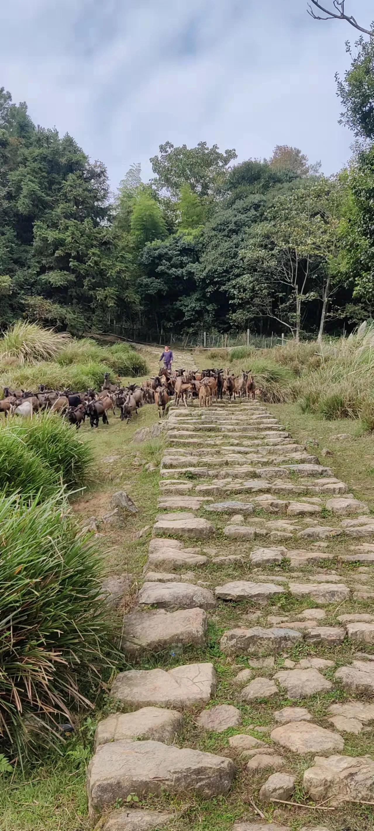 福州就业企业人才，繁荣与机遇的交汇地