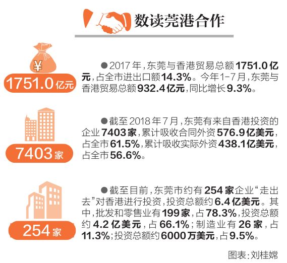 东莞企业投资，繁荣背后的力量与战略洞察