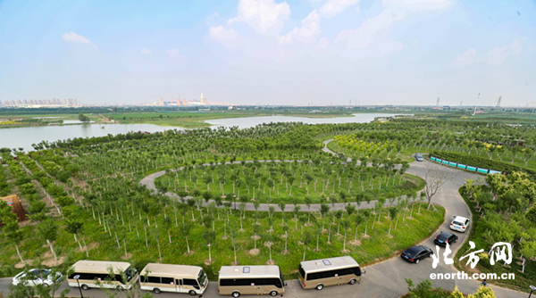 天津未来生态治理，构建可持续绿色城市愿景