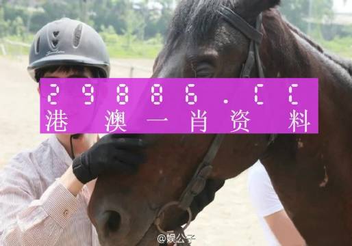 澳门一肖一码一特一中云骑士｜全面分析解释定义_专业版150.205