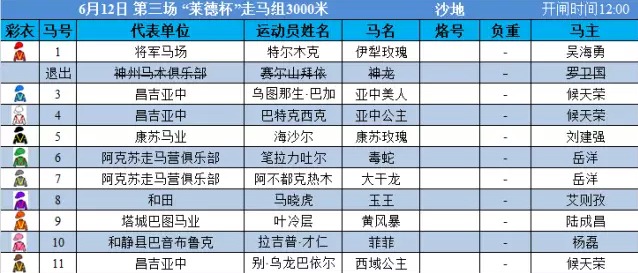 2024澳门特马今晚开奖图纸,综合性计划定义评估_挑战版41.393