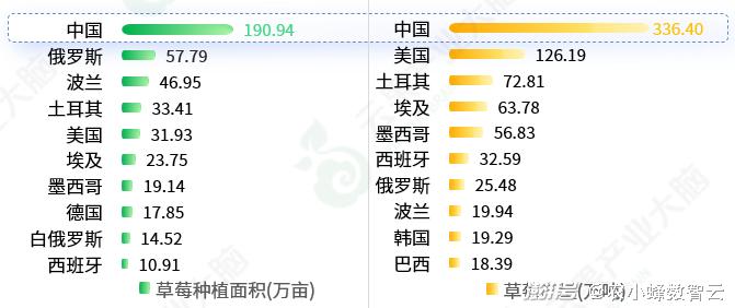 新澳2024今晚开奖图片资料,实地分析数据计划_4K77.660