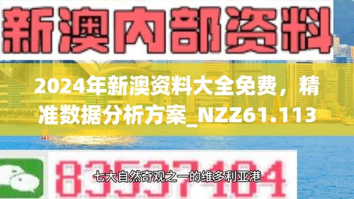 新澳2024正版免费资料,实践案例解析说明_SE版72.854