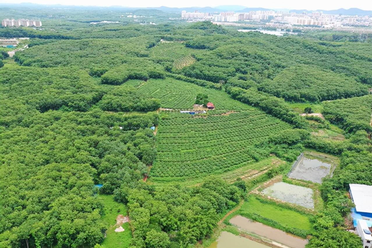 太原重塑乡村生态之美，实现可持续发展之路