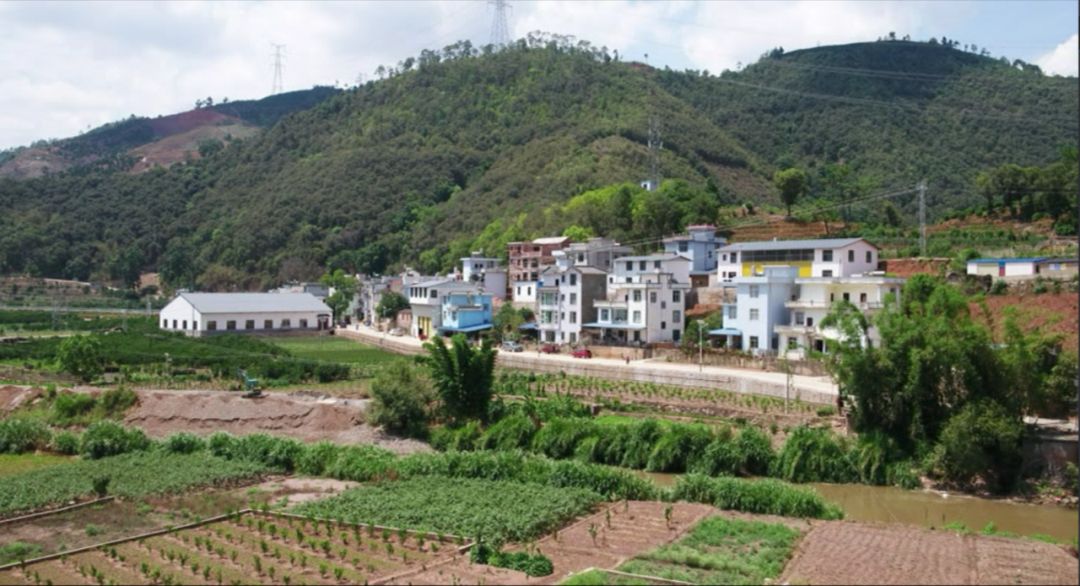 重庆乡村发展建设，走向繁荣与振兴之路