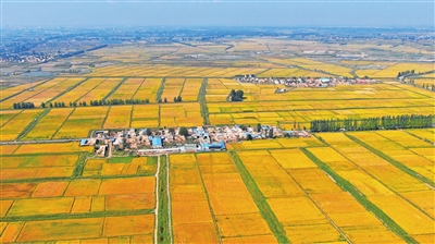 银川重塑乡村魅力，改革推动乡村振兴